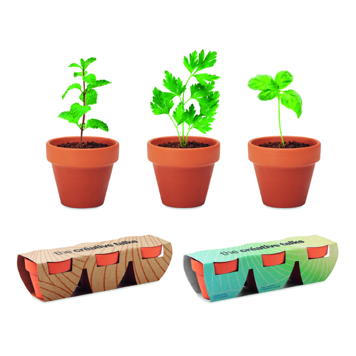 Terracotta skåle sæt inkl. frø i eget design (Your Design) | Fås i flere farver