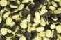 Citron med lakrids/peber