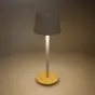 Hvid