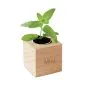 Gropotter med skjuler med logo Mint