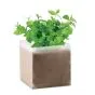 Plant selv mynte med logo på omslag