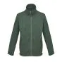 Fir Green