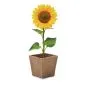 Plant selv potter med logo