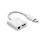 USB-C adaptere med logo til USB-C og Jack-stick