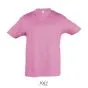 Orkide pink