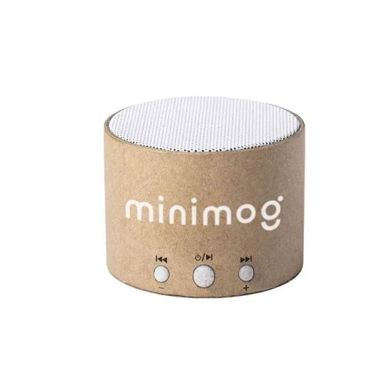Bluetooth Speaker med logo