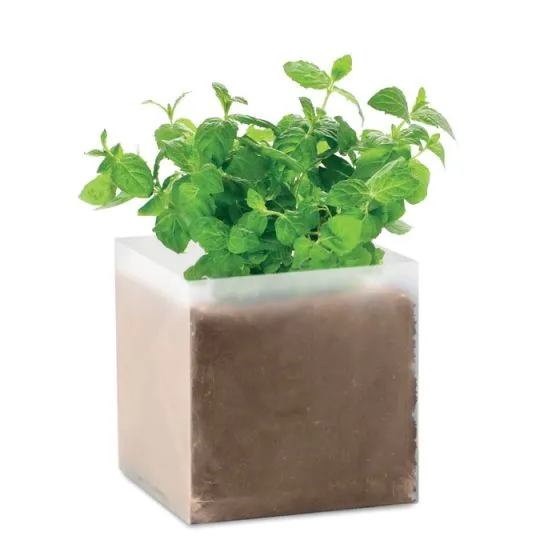 Plant selv mynte med logo på omslag