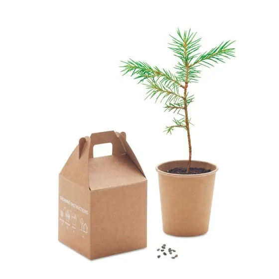Plant selv træ i æske med logo