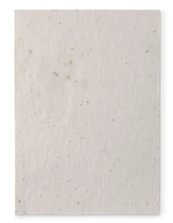 Papir med logo Vilde blomsterfrø A5
